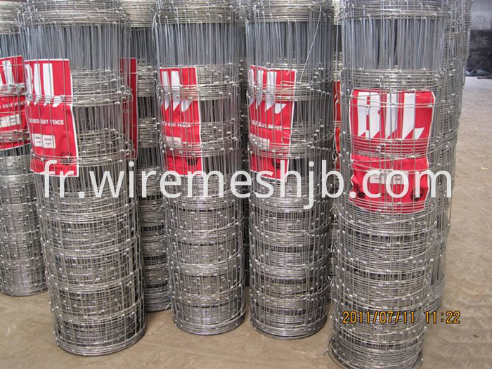 Galvanized Field Fence